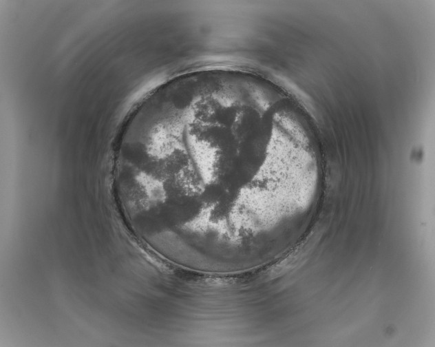 X0000090731411200708171938