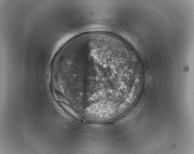 X0000090731413200708171938