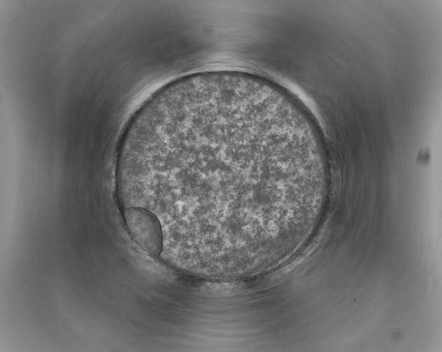 X0000090731415200708171938