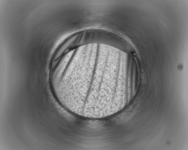 X0000090731416200708171938