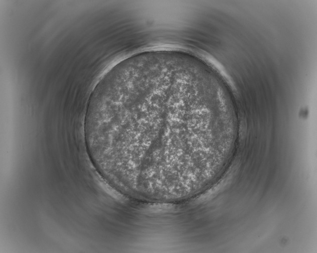 X0000090731417200708171938