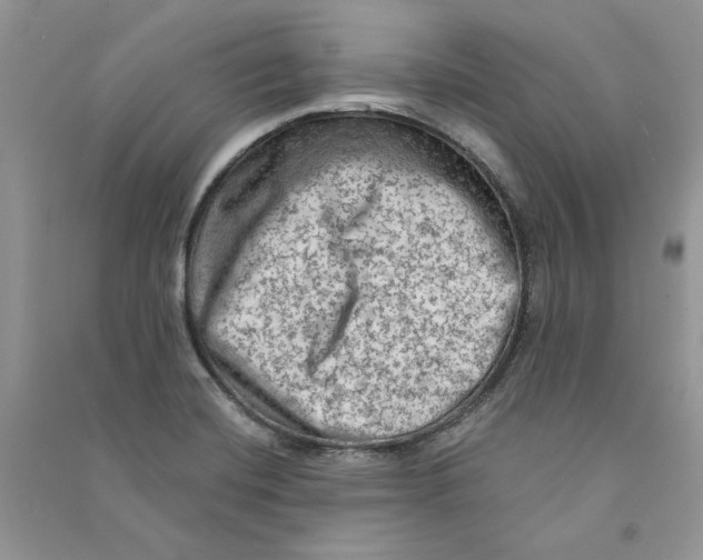 X0000090731420200708171938