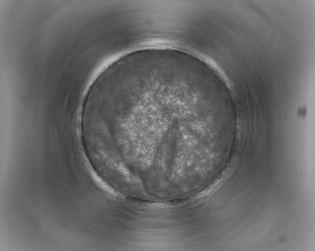 X0000090731421200708171938