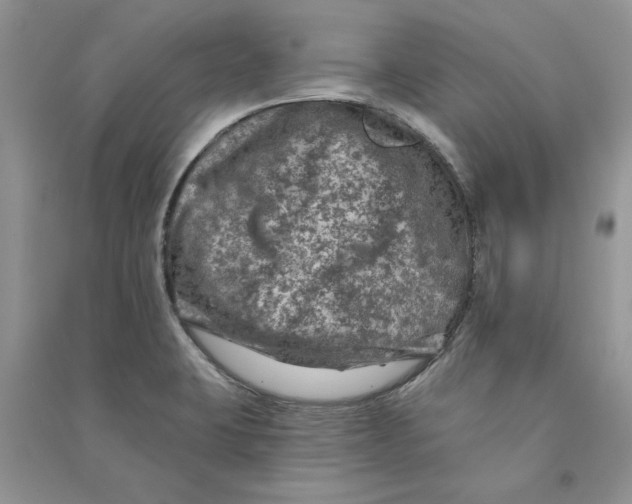 X0000090731423200708171938