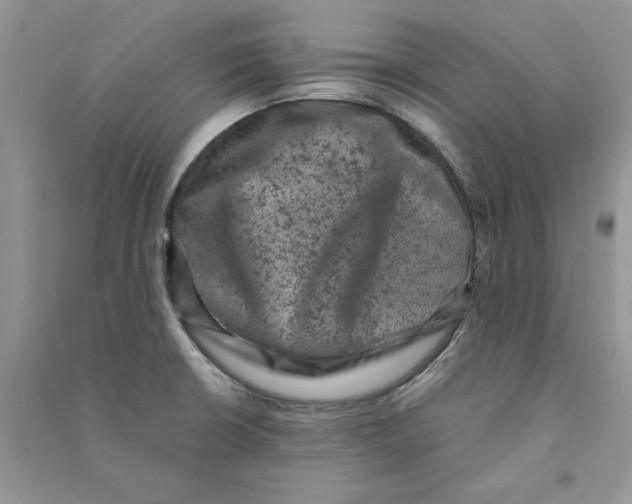 X0000090731426200708171938