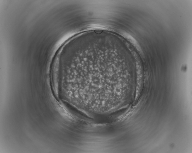 X0000090731427200708171938