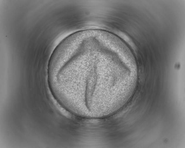 X0000090731431200708171938