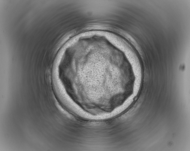 X0000090731433200708171938