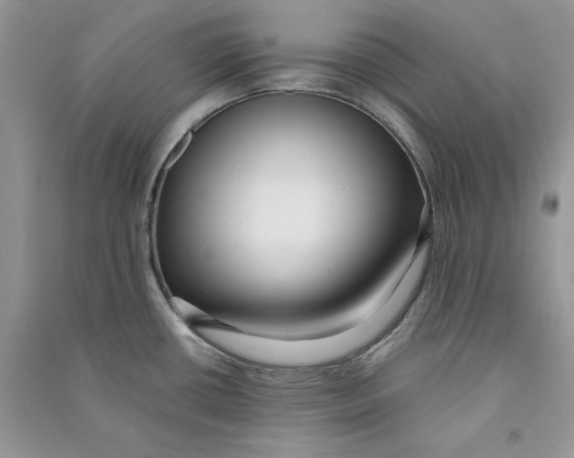 X0000090731434200708171938