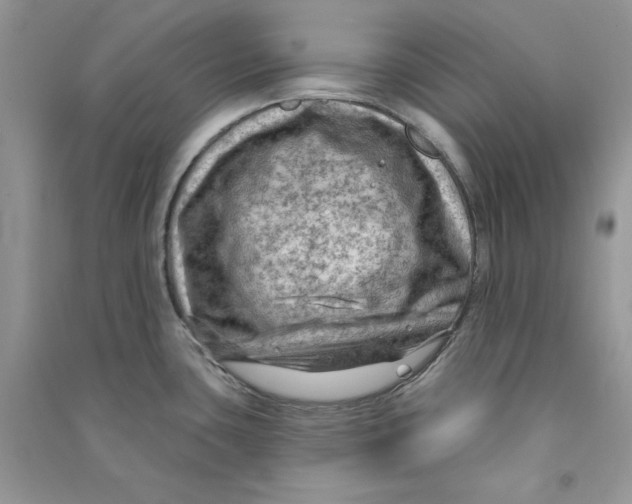 X0000090731435200708171938