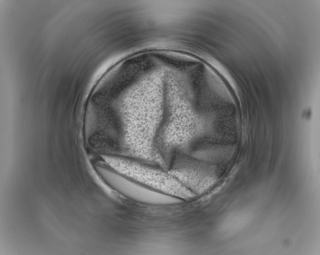 X0000090731437200708171938