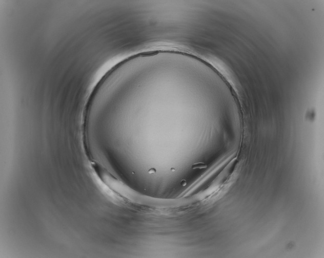 X0000090731438200708171938