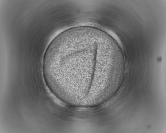 X0000090731439200708171938