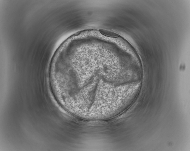 X0000090731440200708171938