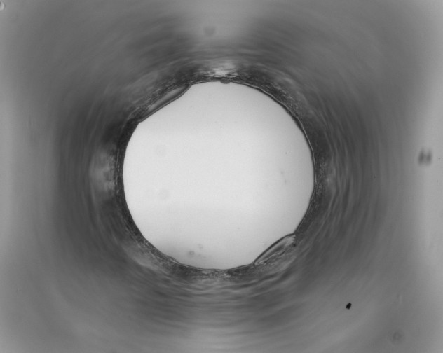 X0000090731442200708171938