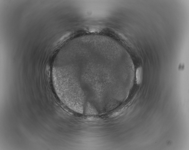 X0000090731443200708171938