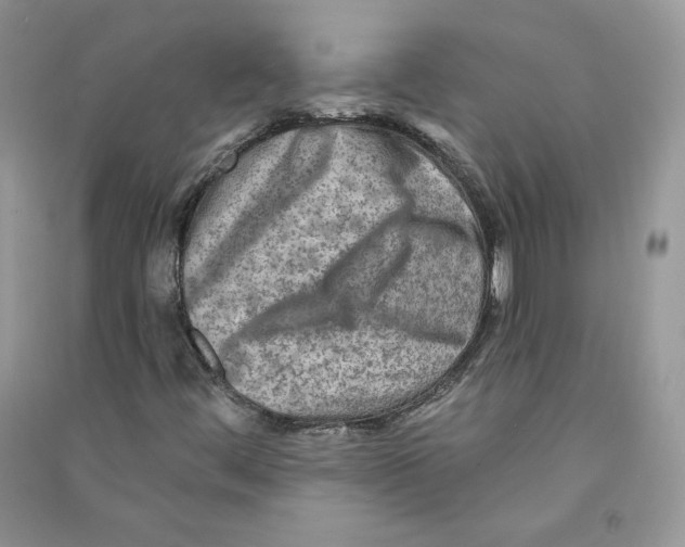 X0000090731444200708171938