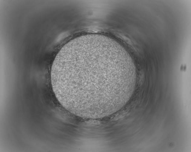 X0000090731446200708171938