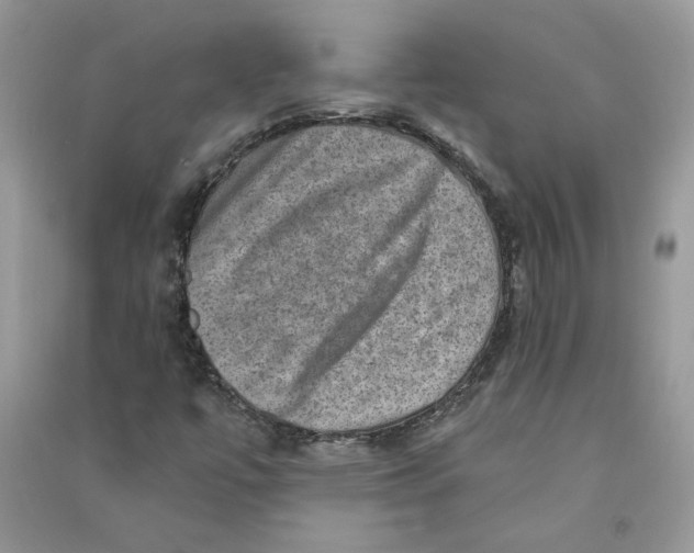 X0000090731447200708171938