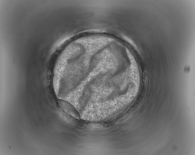 X0000090731448200708171938