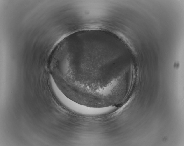 X0000090731449200708171938