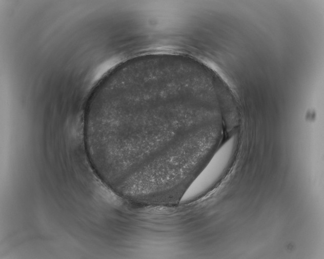 X0000090731450200708171938