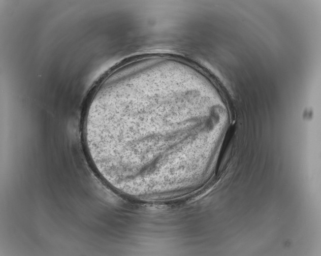 X0000090731452200708171937