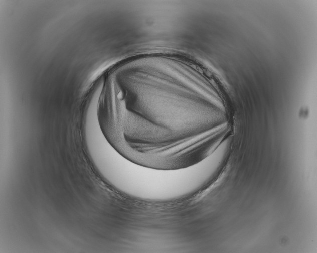 X0000090731453200708171937