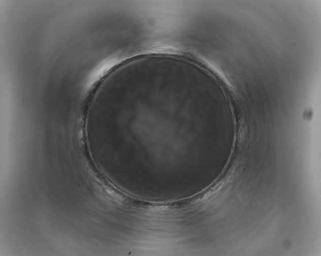 X0000090731455200708171937