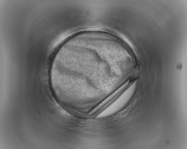 X0000090731456200708171937