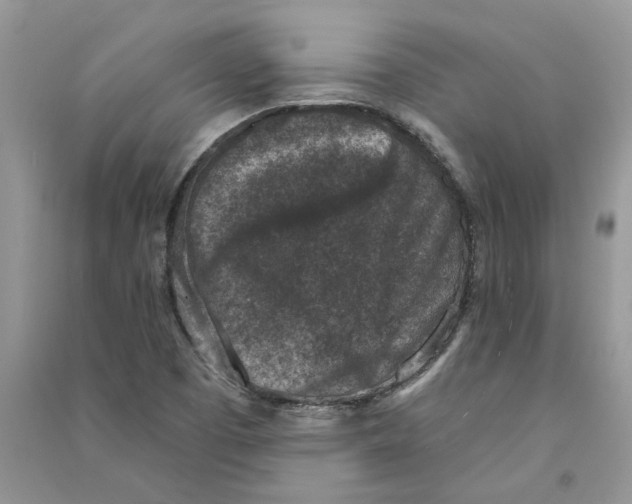 X0000090731457200708171937