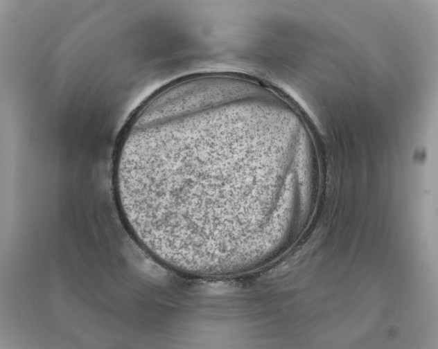 X0000090731460200708171937