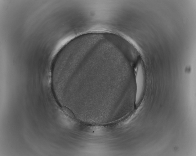 X0000090731461200708171937