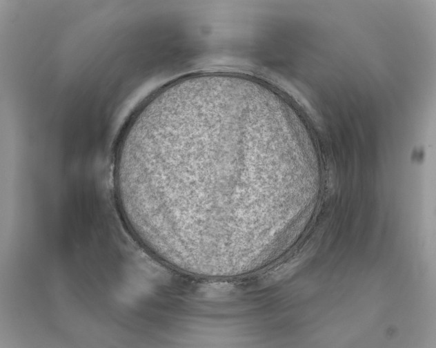 X0000090731462200708171937