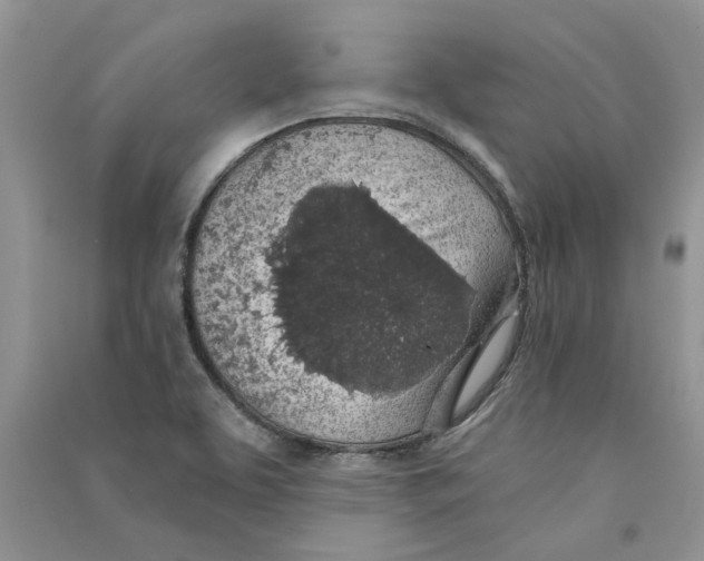 X0000090731463200708171937