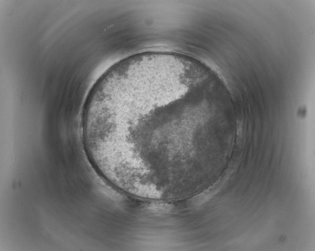 X0000090731466200708171937