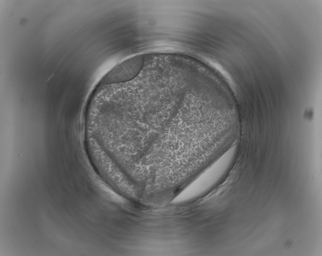 X0000090731467200708171937