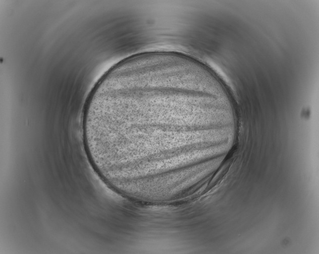 X0000090731468200708171937