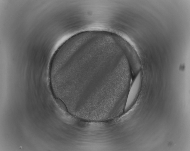 X0000090731469200708171937