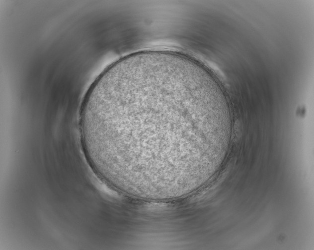 X0000090731470200708171937