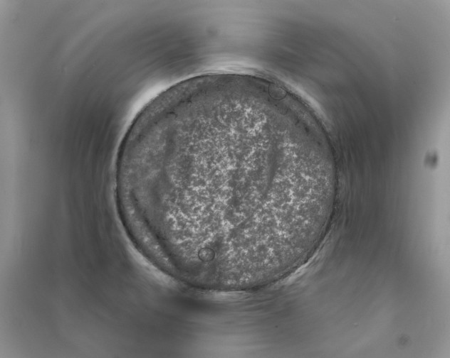 X0000090731471200708171937