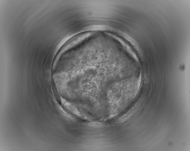 X0000090731473200708171937