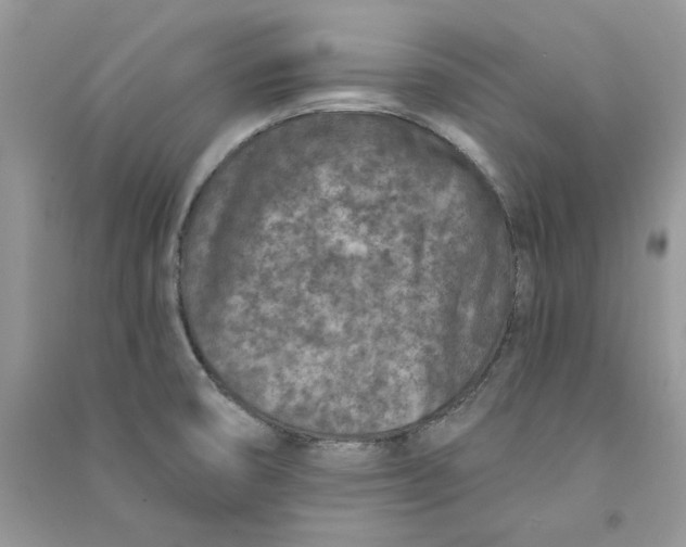 X0000090731474200708171937