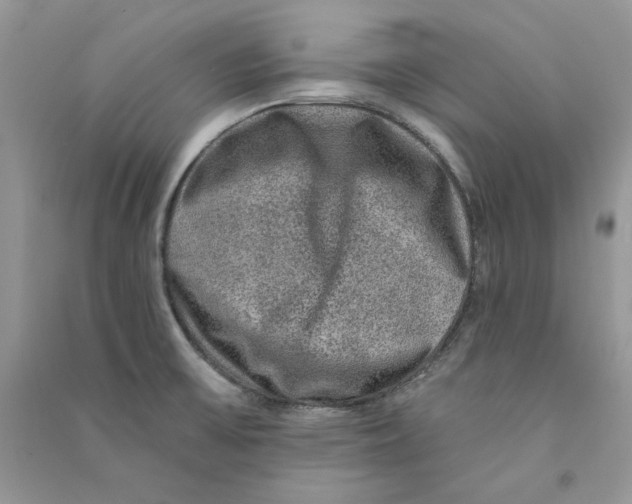 X0000090731475200708171937