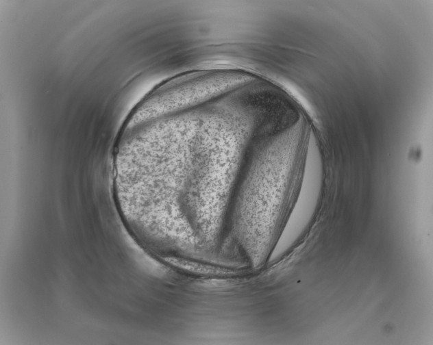 X0000090731476200708171937