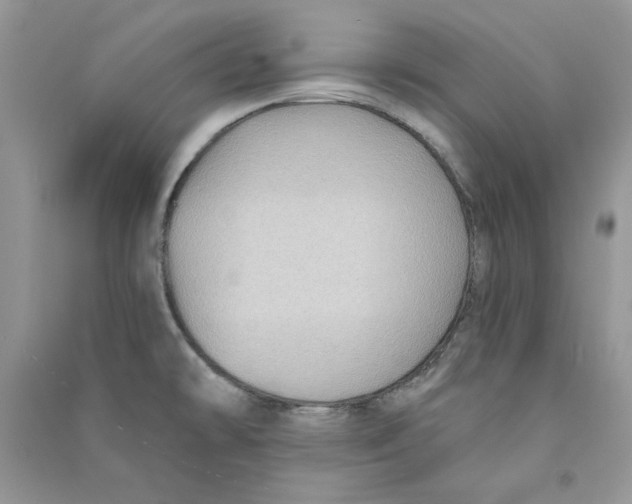 X0000090731478200708171937