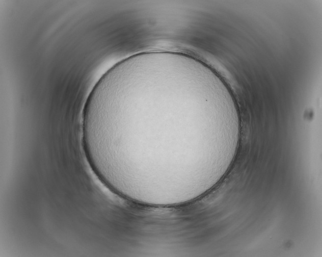 X0000090731479200708171937