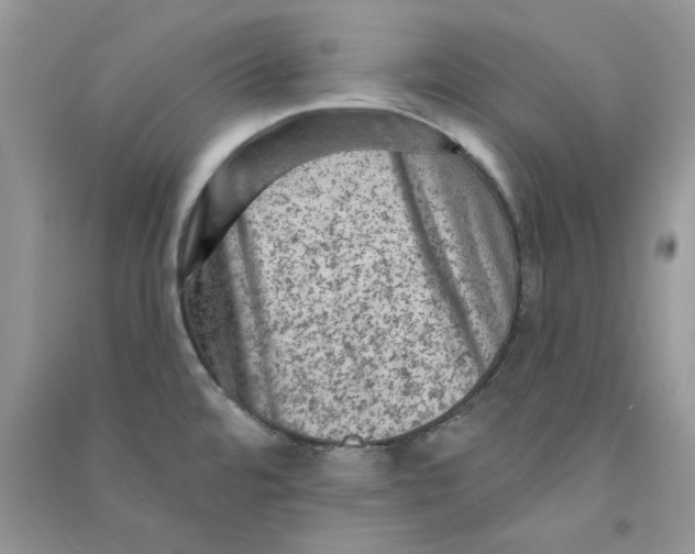 X0000090731480200708171937