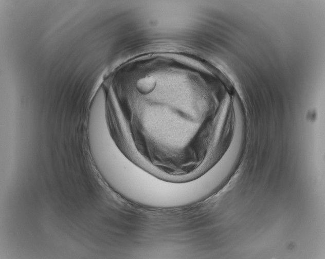 X0000090731481200708171937