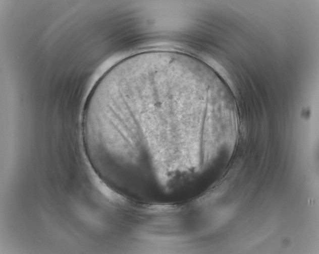 X0000090731482200708171937